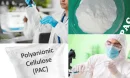 Polyanionic Cellulose High Viscosity Nedir?