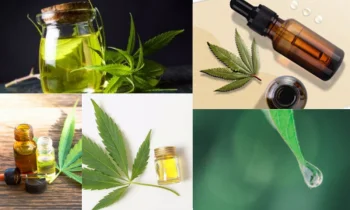 Cbd Yağı Nedir, Ne İşe Yarar ?