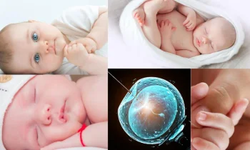 Tüp Bebekte Kök Hücre Tedavisi