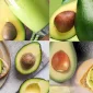 Health Benefits of Avocado