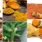 Zerdeçalın Faydaları Nedir?