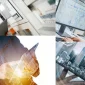 BIM Software Nedir?
