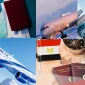 Hollanda Vize İşlemleri Nasıl İlerler?