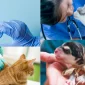 Nöbetçi Veteriner Seçerken Nelere Dikkat Etmelisiniz?