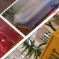 Taşımacılıkta Kendine Güvenen Yuvam Nakliyat